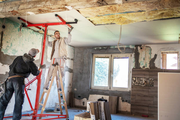 Best Eco-Friendly Insulation in Orcdlands Estates, HI